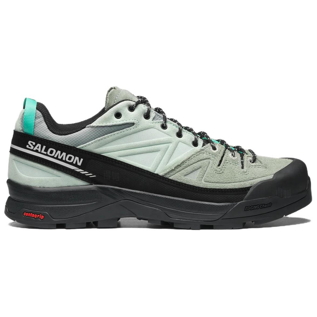 SALOMON X-ALP LTR Low-Top Outdoor Shoes