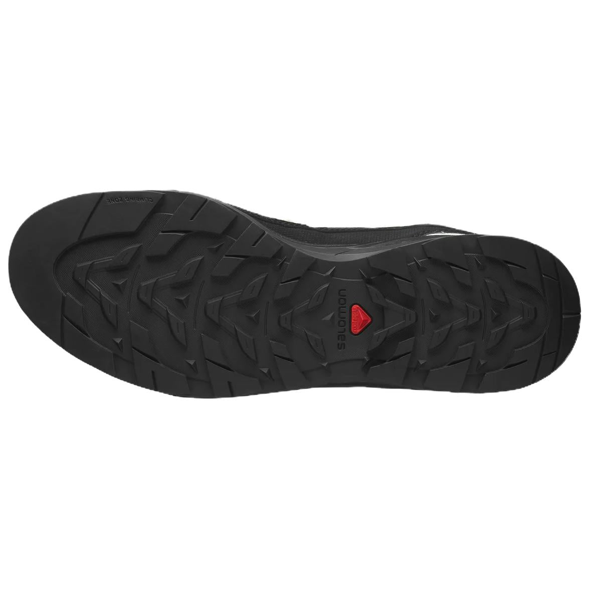 SALOMON X-ALP LTR Low-Top Outdoor Shoes